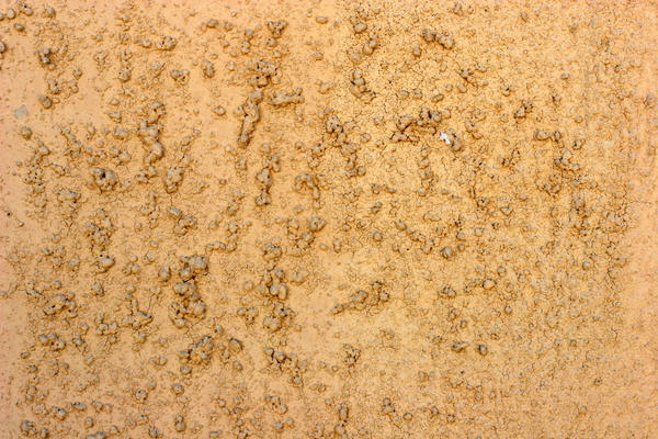 Bumpy Brown Stucco