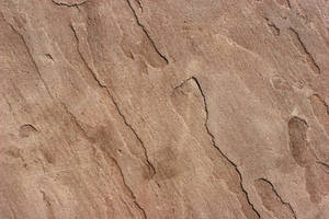 Rough Stucco Texture