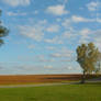 Blue Skies