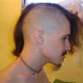 Officially Hawked