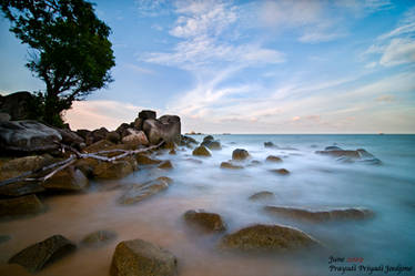 burung Mandi Beach3