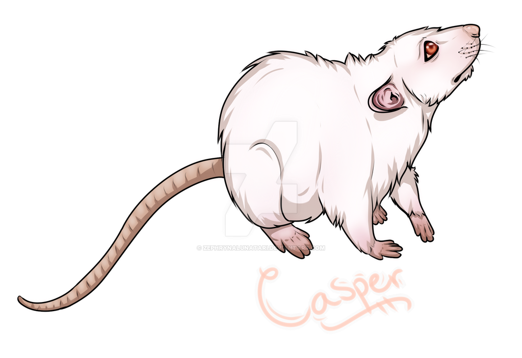 Commission: Casper by ZephrynaLunatari on DeviantArt