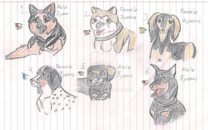Adopt a dog ALL ADOPTED