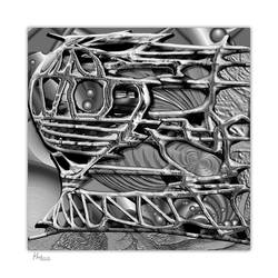 AB2016-445 ... Labyrint