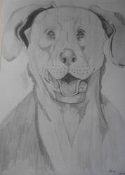 Labrador retriever by Nikita-Wolf-Art