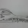 Dragon skull drawing