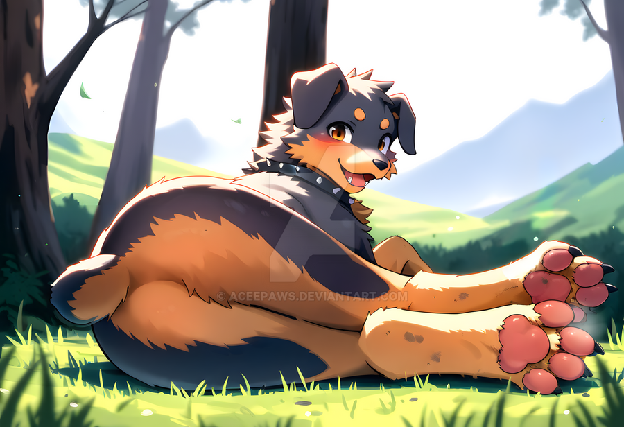 Opensim Rottweiler (open) Rottweiler's rest by AceePaws on DeviantArt