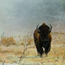 Buffalo