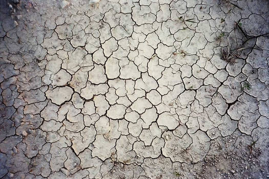 Dried and Cracked Earth