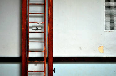 Lonely Ladder