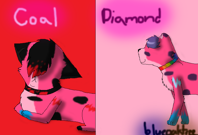 Diamond and Coal