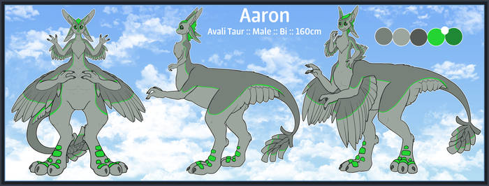 Aaron Taur Reference Sheet by Zillyhoo