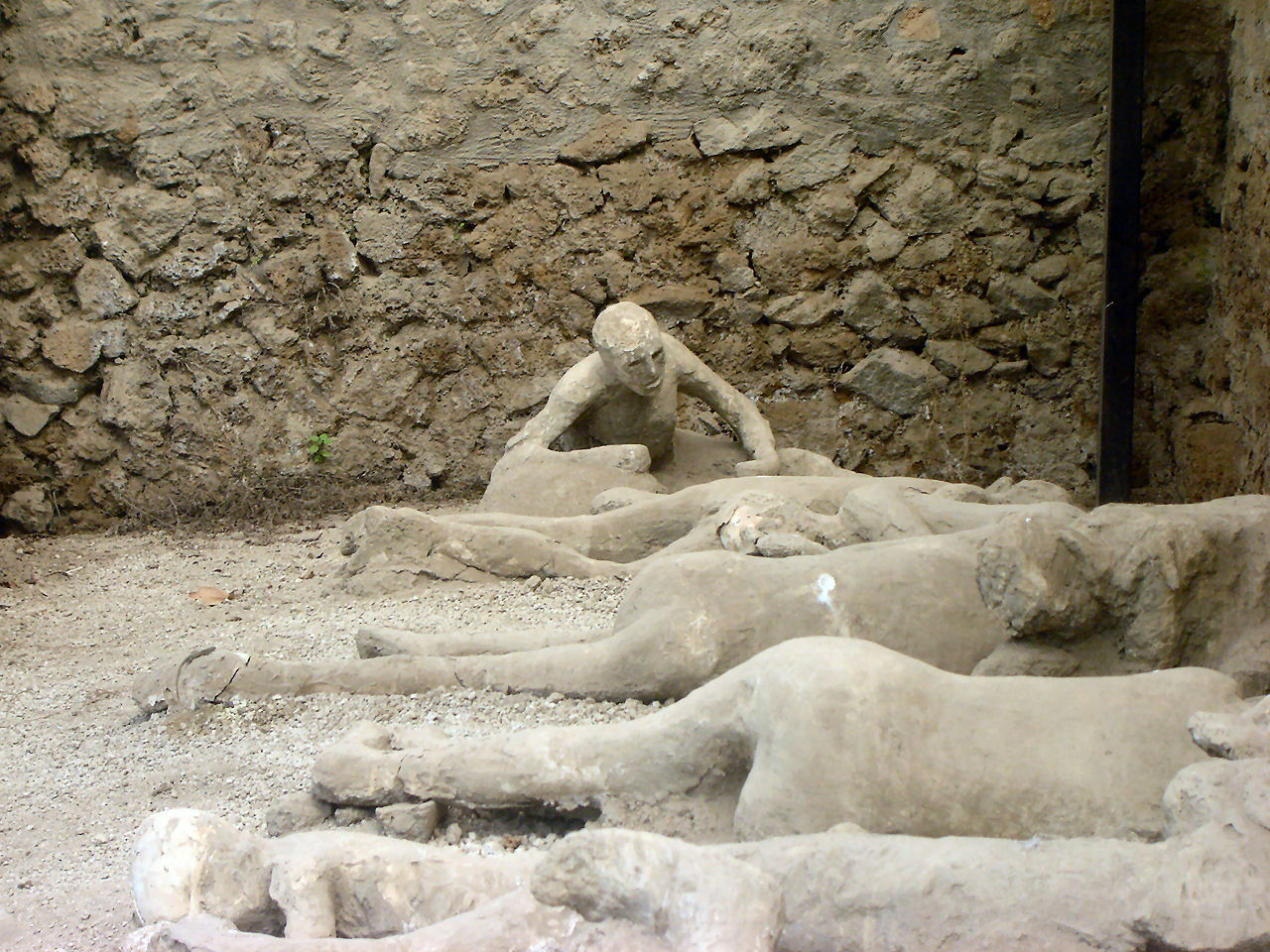 Bodies in Pompeii 2