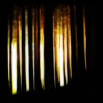 Zauberwald by sth22art