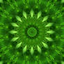green kaleidoscope I