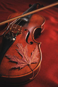 Vivaldi's Autumn Dream