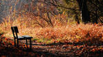 Everywhere Around Us by Alexandru1988