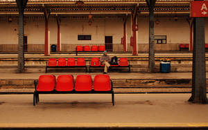 The Wait