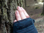 Divine Hand by Alexandru1988