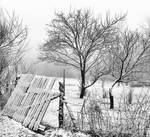 Calm Winter by Alexandru1988
