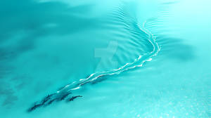 Turquoise Silence with Dolphins (Daily Challenge)