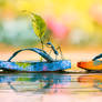 Flip-Flop Regatta (Daily Challenge)