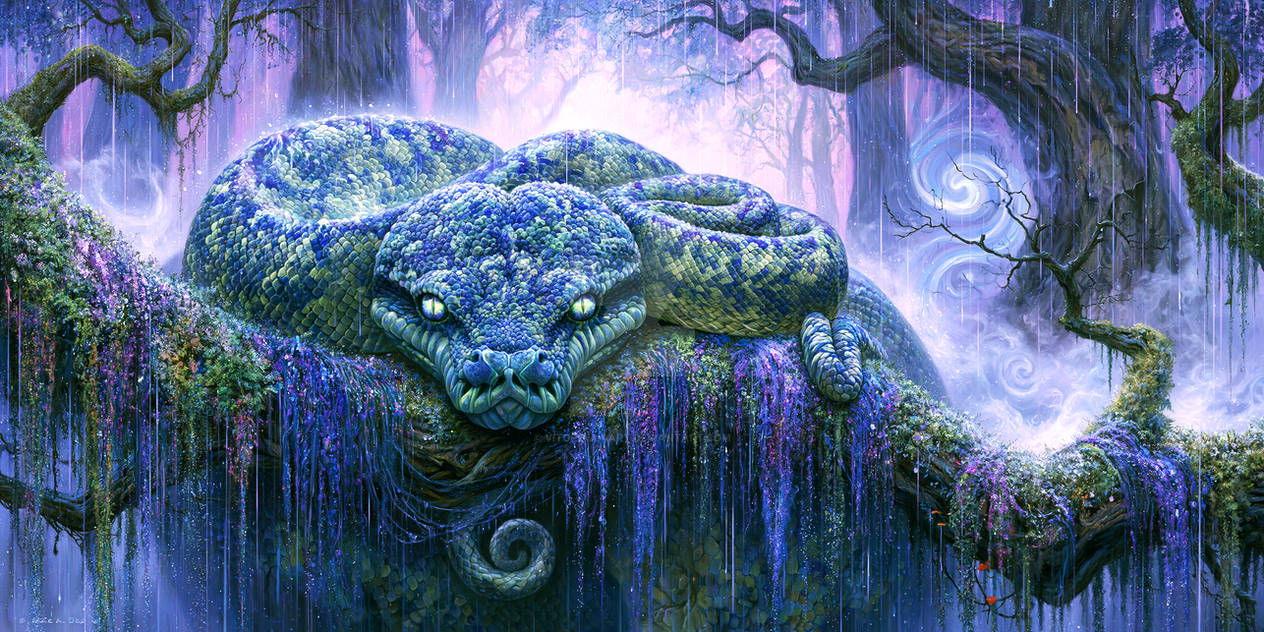 The Rainforest Dreamer
