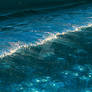 When the Sea Steps Back