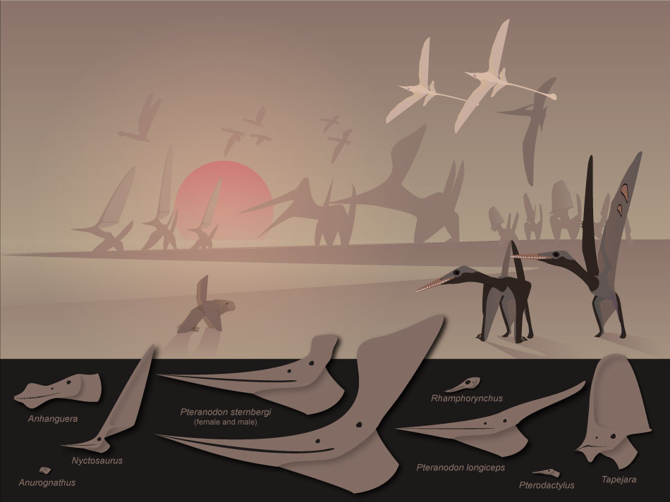 Pterosaur menagerie