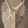 Triceratops horridus