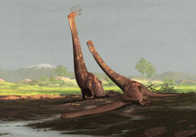 Giraffatitan brancai at the Mudbaths