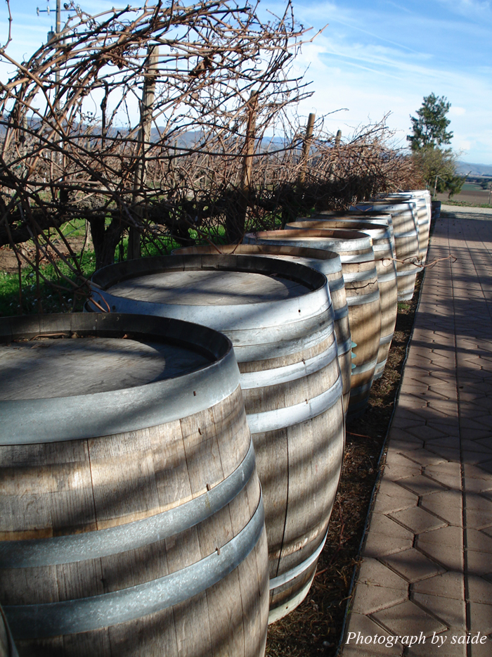 Wine Barrels