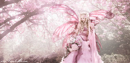 'cherry blossom fairy'