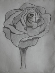Random Rose