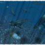 Placodus