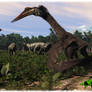 Quetzlo