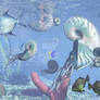 Acoceras