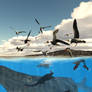 Enaliornis