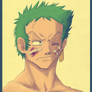 + Zoro's Injures +