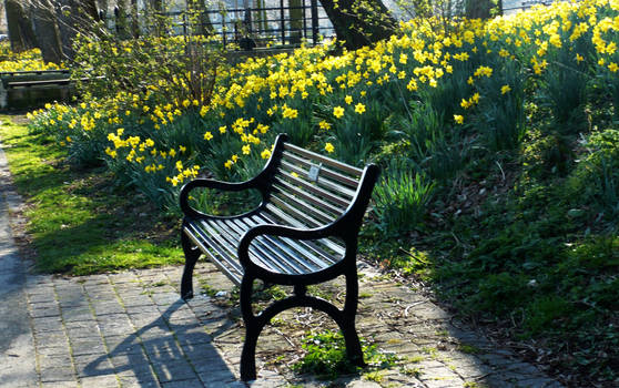 A bench in the sun