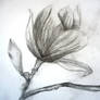 Quick Flower Sketch