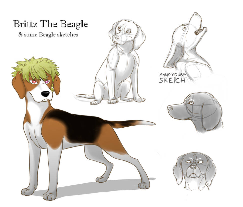 Beagle Oc Brittz Beagle OC by sekartiara on DeviantArt