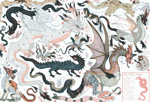dragon atlas