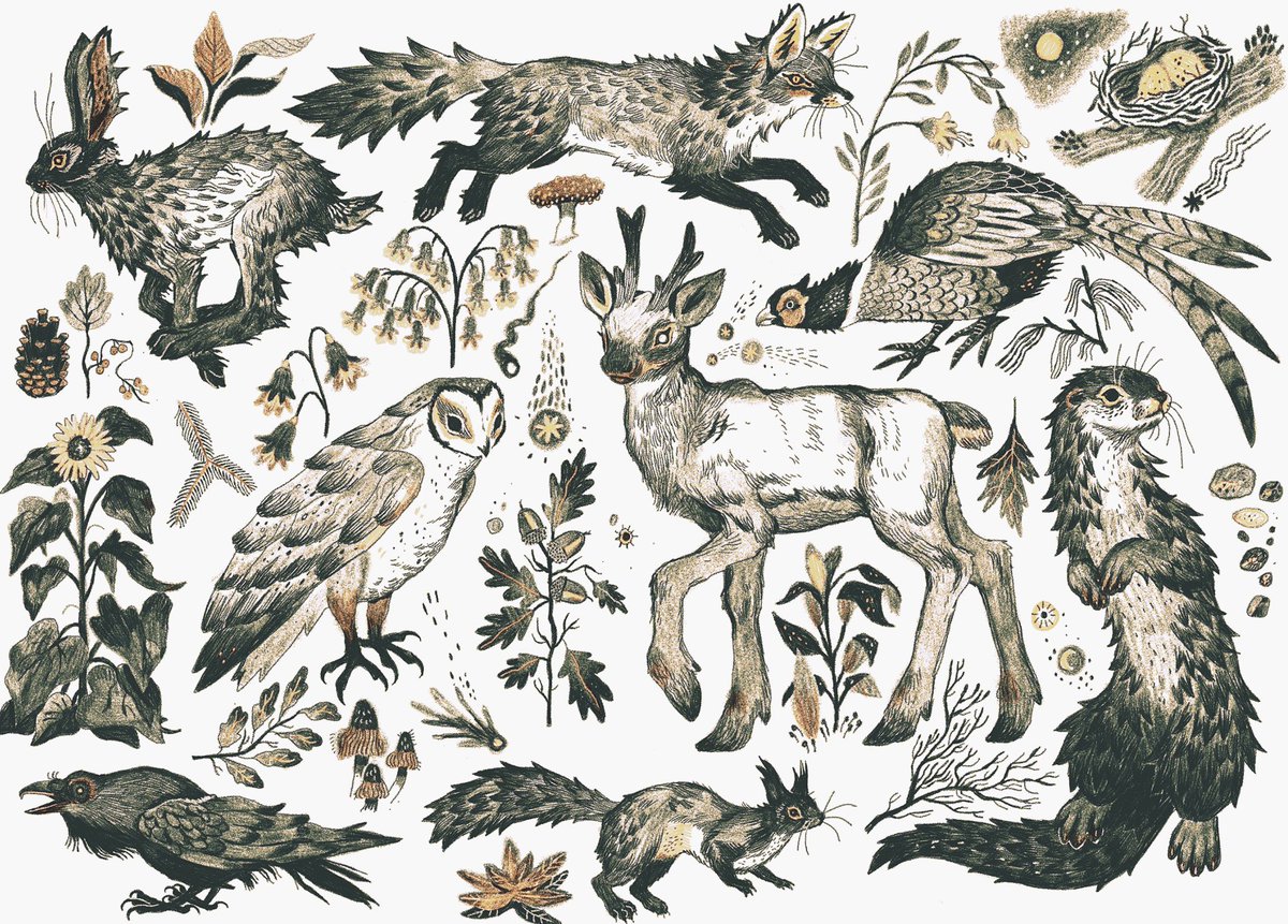 FAUNA by goyagoat on DeviantArt