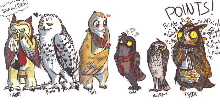 owl friends
