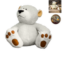 teddy bear with big foot PNG