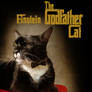 The Godfather Cat Einstein