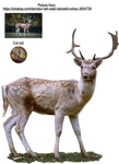 Reh - Deer - PNG