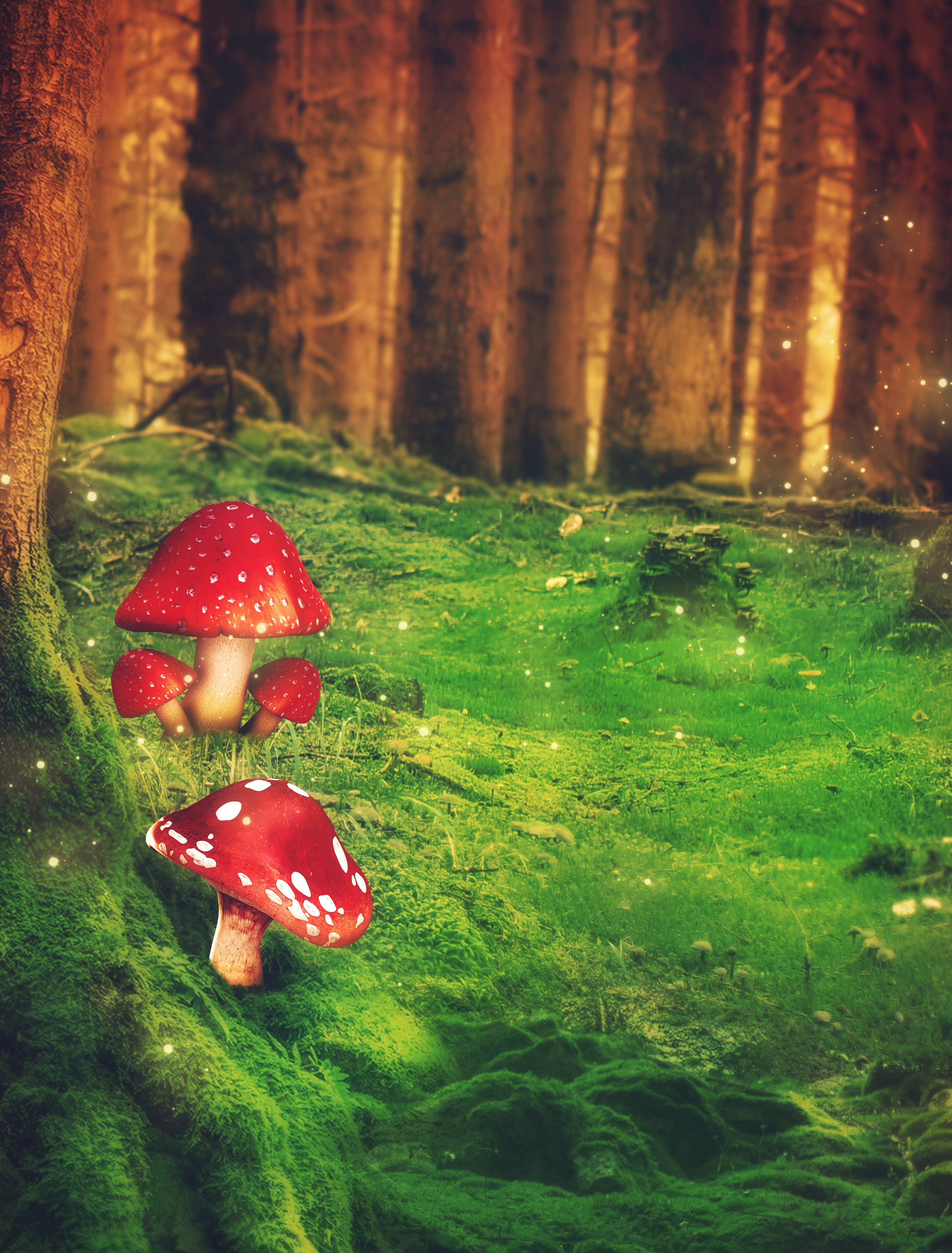 fairy tale background 03 - fantasy premade stock by Darkmoon-Art-de on  DeviantArt