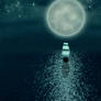 Sailing in moonlight